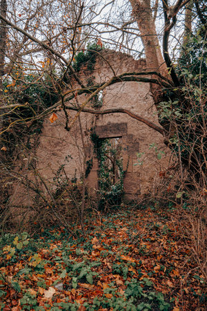 Ruins of an old abandoned church in the autumn forest. Season of the autumn.の写真素材