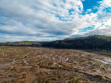 An expansive view of a barren marshland scattered with dead trees and patches of moss. The dramatic...
