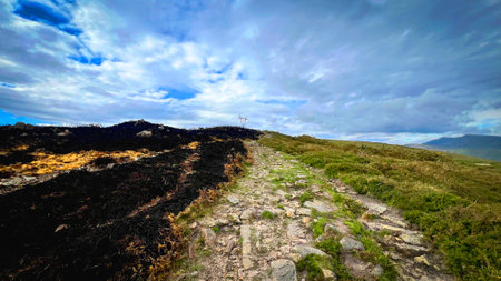 Mountain trail between scorched land and green terrain after wildfire. Concept of climate impact,...