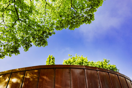 Rustic curved wall with visible weathering, framed by lush green tree branches and a bright blue sky, evoking nature and tranquilityの写真素材