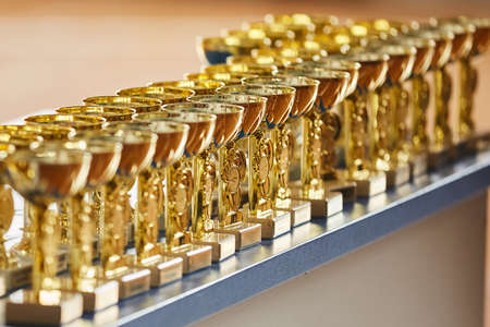 Award the cup for winning the competition. The concept of sports, a healthy lifestyle and the desire to win.の写真素材