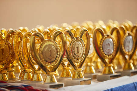 Award the cup for winning the competition. The concept of sports, a healthy lifestyle and the desire to win.の写真素材