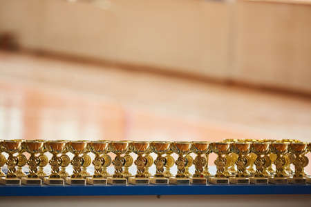 Award the cup for winning the competition. The concept of sports, a healthy lifestyle and the desire to win.の写真素材