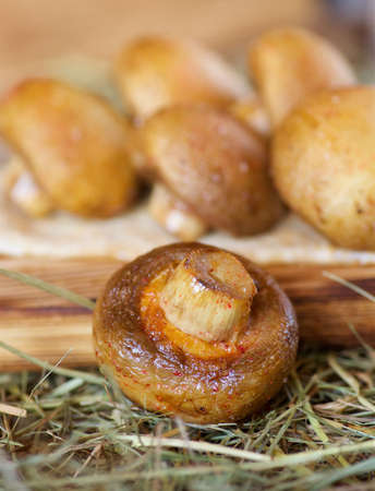 Grilled mushrooms and champignons lie on a wooden board. Food according to the cook's recipes.の写真素材