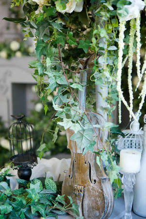 Still life of violin, green vine and other decorative items. Interior design concept and decoration of festive space.の写真素材