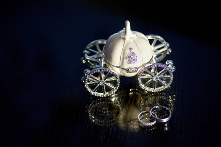 Wedding rings in a beautiful design. The concept of a wedding or engagementの写真素材