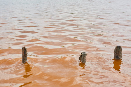 Unique water from the lake is pink in color. A rare natural phenomenon from different parts of the world.の写真素材