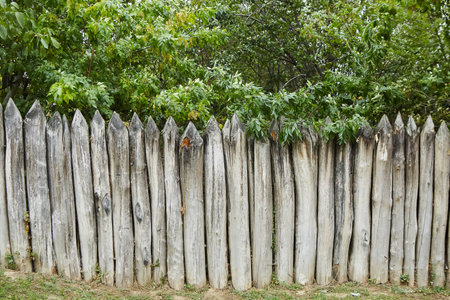 An old fence made of wooden logs, designed for defense against invaders. The top of the stakes is sharpened to protect the territory.の写真素材