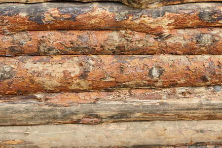 Logs of a log house made of pine for the construction of a wooden house. The masonry of the round tables in the building. The concept of using eco-friendly materials in everyday life.の写真素材
