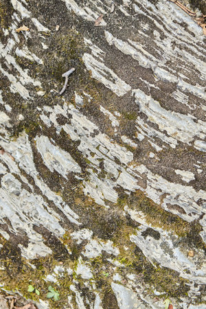 Texture of the surface of a wild stone, rock, or block. natural material for use in design.