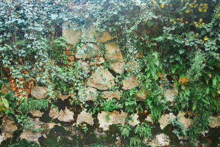 Background texture of a stone wall photo. Natural stone wall texture for the background. Old brick texture, grunge background of a brick wall.の写真素材