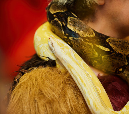 A snake on a man.の写真素材
