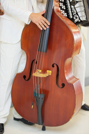 Stringed musical instrument contrabass in the hands of a man musician. The concept of culture and art.の写真素材
