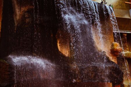 Animal of the world. Wroclaw zoo. Afrykariumの写真素材