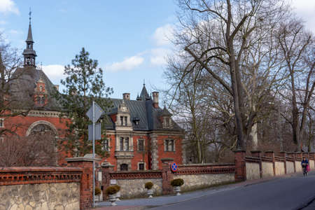 PÅawniowice Poland 08 march 2020 . The palace and park complex in PÅawniowice Parkのeditorial素材