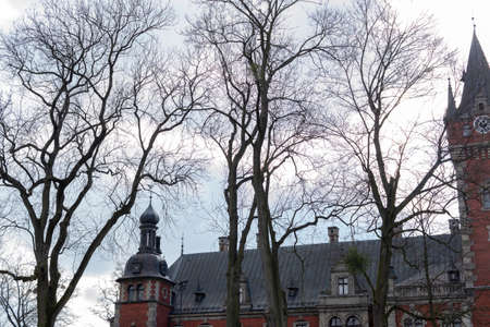 PÅawniowice Poland 08 march 2020 . The palace and park complex in PÅawniowice Parkのeditorial素材