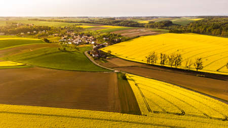 A warm day in the countryside. Yellow rape field at sunset.の写真素材