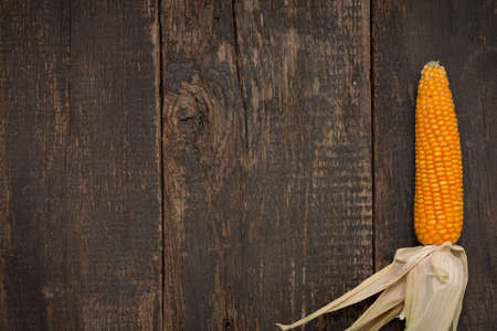 Gold yellow ripe corn on vintage wooden table (zea mays) close upの写真素材