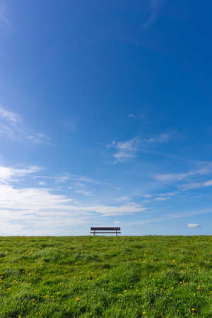 Empty park bench on green meadow with dandelion, and blue skyの写真素材