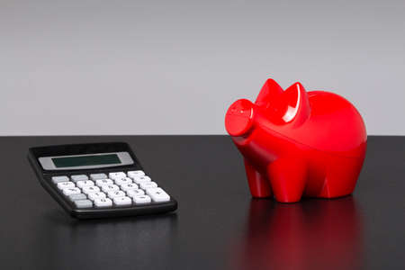 Model house, piggy bank with pocket calculator on a blueprintの写真素材