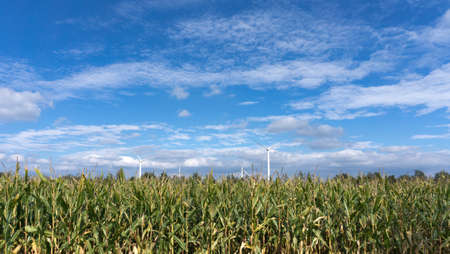 Wind turbine in front of blue skyの写真素材