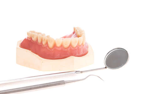 Denture with mouth mirror, denture modelの写真素材
