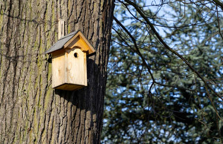 Bird nesting aid made of wood on a tree, nest box