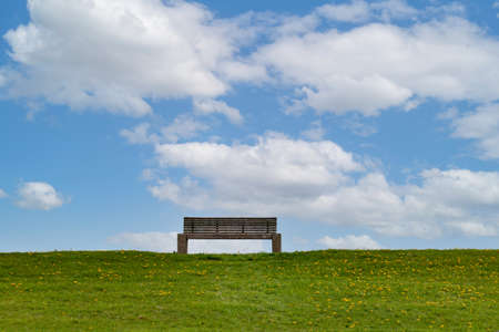 Empty park bench on green meadow with dandelion, and blue skyの写真素材