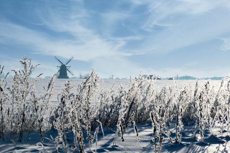 Snowy winter landscape with a historic windmill in the climate commune of Saerbeck Sinningen, Germanyの写真素材