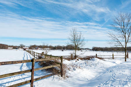 Winter snowy landscape, with blue sky and sunの写真素材