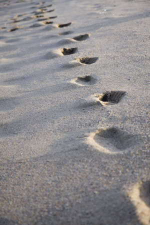 fussabdruck in sandの写真素材