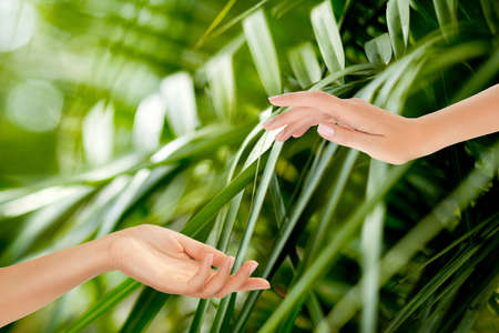 Beautiful Female Hands on the green background of a tropical forest's leavesの写真素材