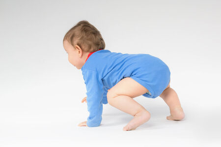 Sweet toddler fledgling の写真素材