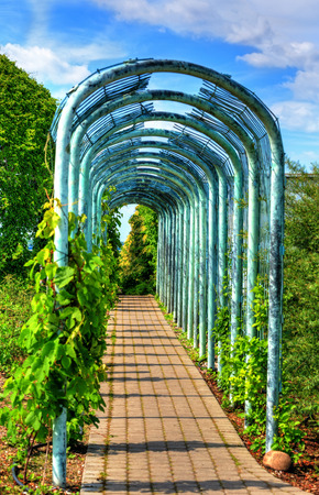 Alley in the garden HDR-high dynamic rangeの写真素材