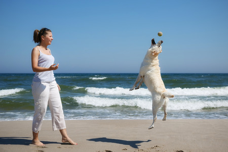 Woman plays with dog on beach の写真素材