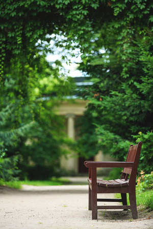 Wooden bench in the park in summer.Park Arkadia,Nieborow. の写真素材
