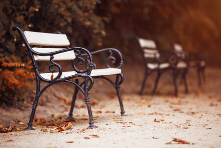 Benches in the autumn parkの写真素材