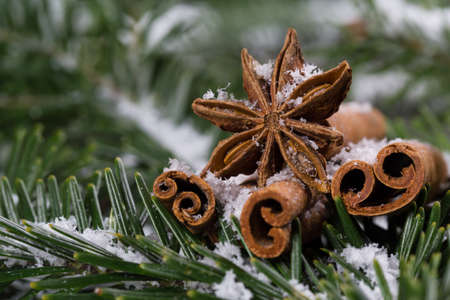 Christmas spices, cinnamon and star aniseの写真素材