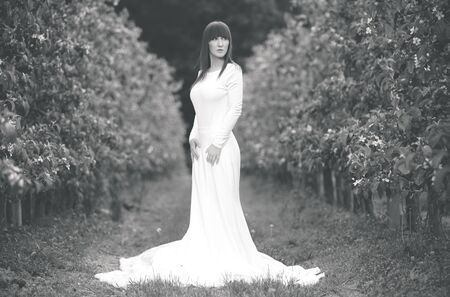 Woman in a white dress in the orchardの写真素材