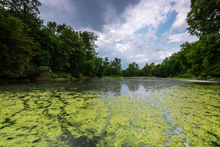 Polish landscape. Sunny day at the pondの写真素材