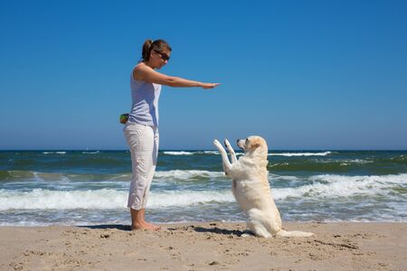 Woman training a dog on the beachの写真素材