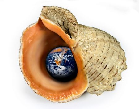 Earth, globe (world) in cockleshellの写真素材