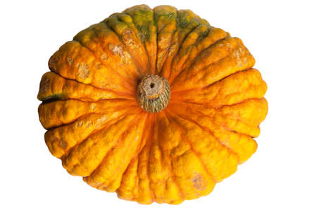 Front view of colourful pumpkin isolated on white background. Pumpkin is ecological and natural, grew in rural garden. の写真素材