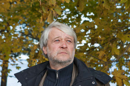 Portrait of mature serious man with grey hair in autumn day.の写真素材