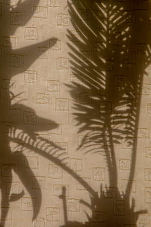 Curtains with silhouettes of houseplants. Abstract background. Shadow is dark area produced by...