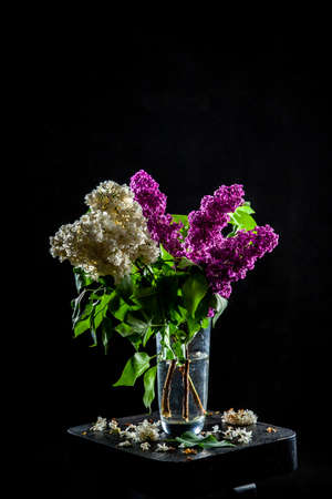 Branches of white and purple  lilac in glass vase on black background. Spring branch of blooming lilac on the table with black background. Fallen lilac flowers on the table.の写真素材