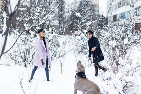 Happy couple walking the dog in a winter landscapeの写真素材