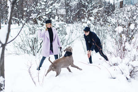 Happy couple walking the dog in a winter landscapeの写真素材