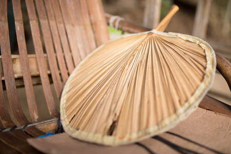Chinese Fan Palm Female hand with decorated fan,の写真素材