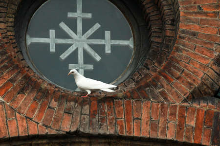 Oval window on weathered wall of churchの写真素材
